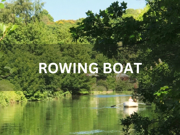 Norwich Rowing Boat Hire